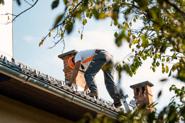 Best Roof Maintenance Services  in Hampton, GA