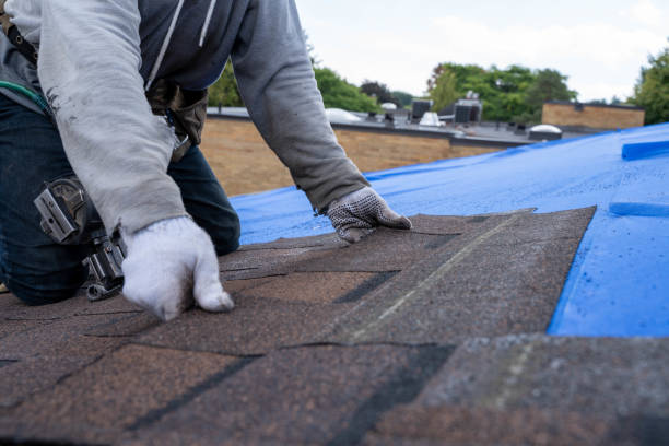 Best Roofing Contractor Near Me  in Hampton, GA