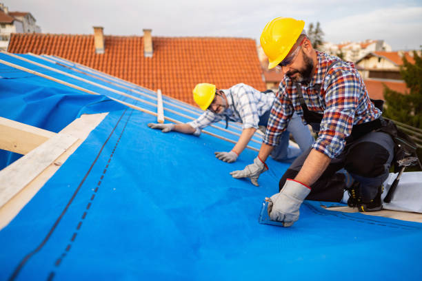 Best Local Roofing Companies  in Hampton, GA